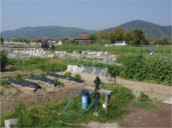 桜井市民農園